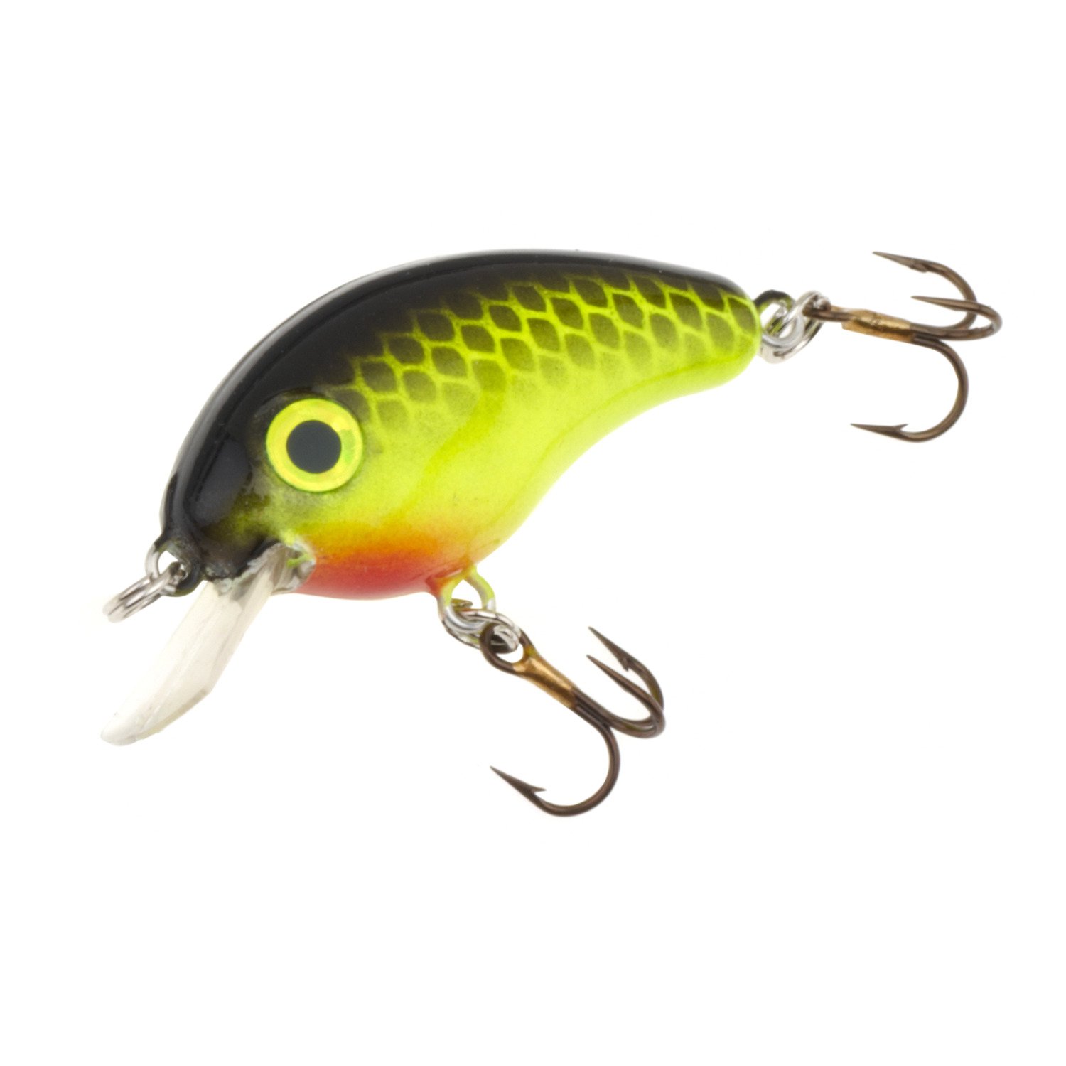 Black Back/Chartreuse