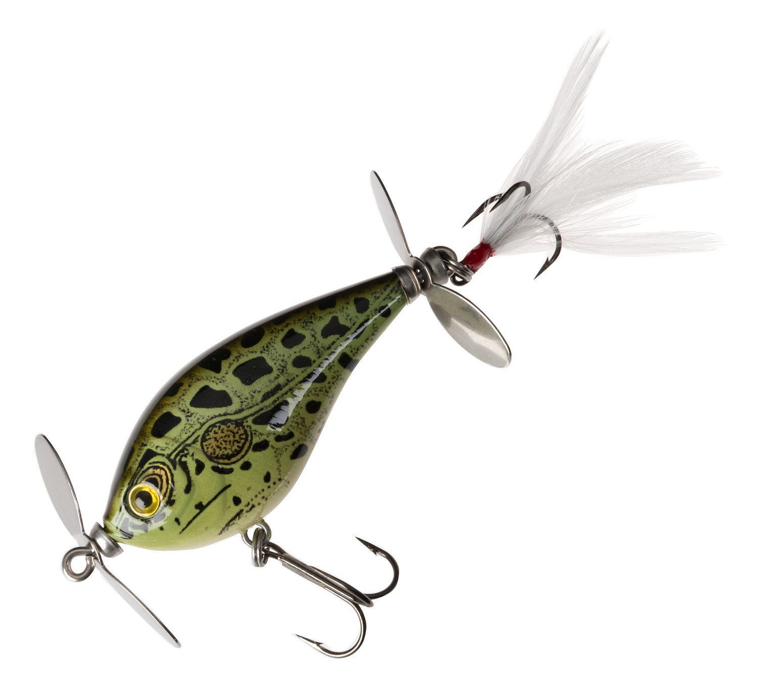 Bullfrog