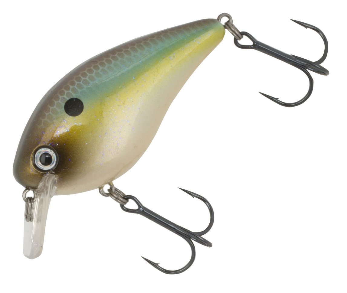 Summer Sexy Shad