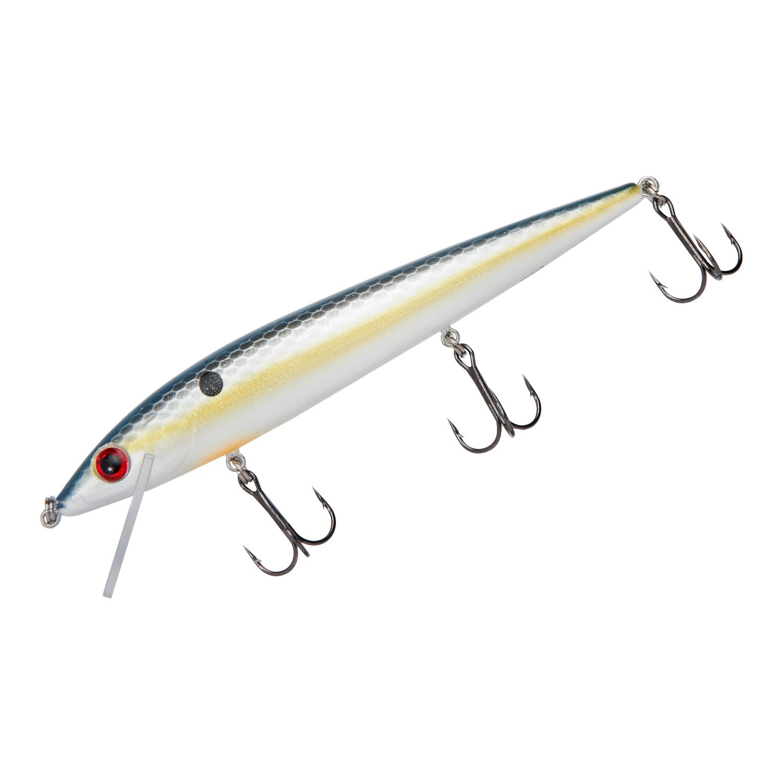 Foxy Shad