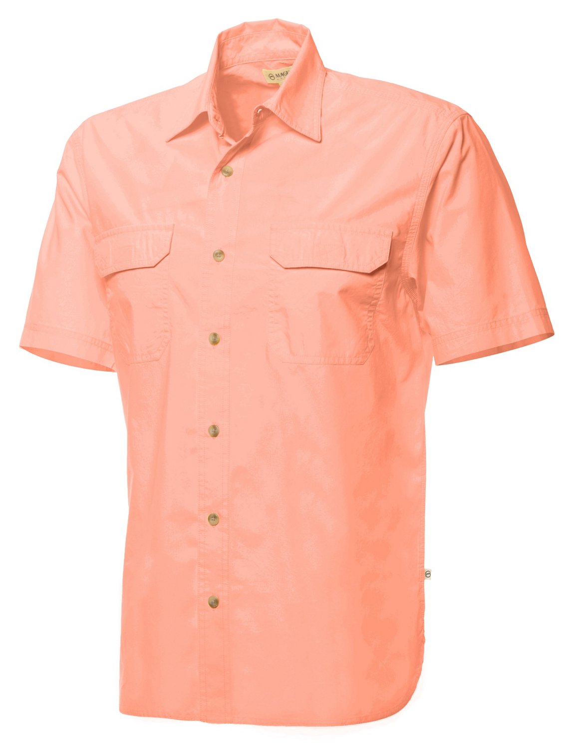 Papaya Punch