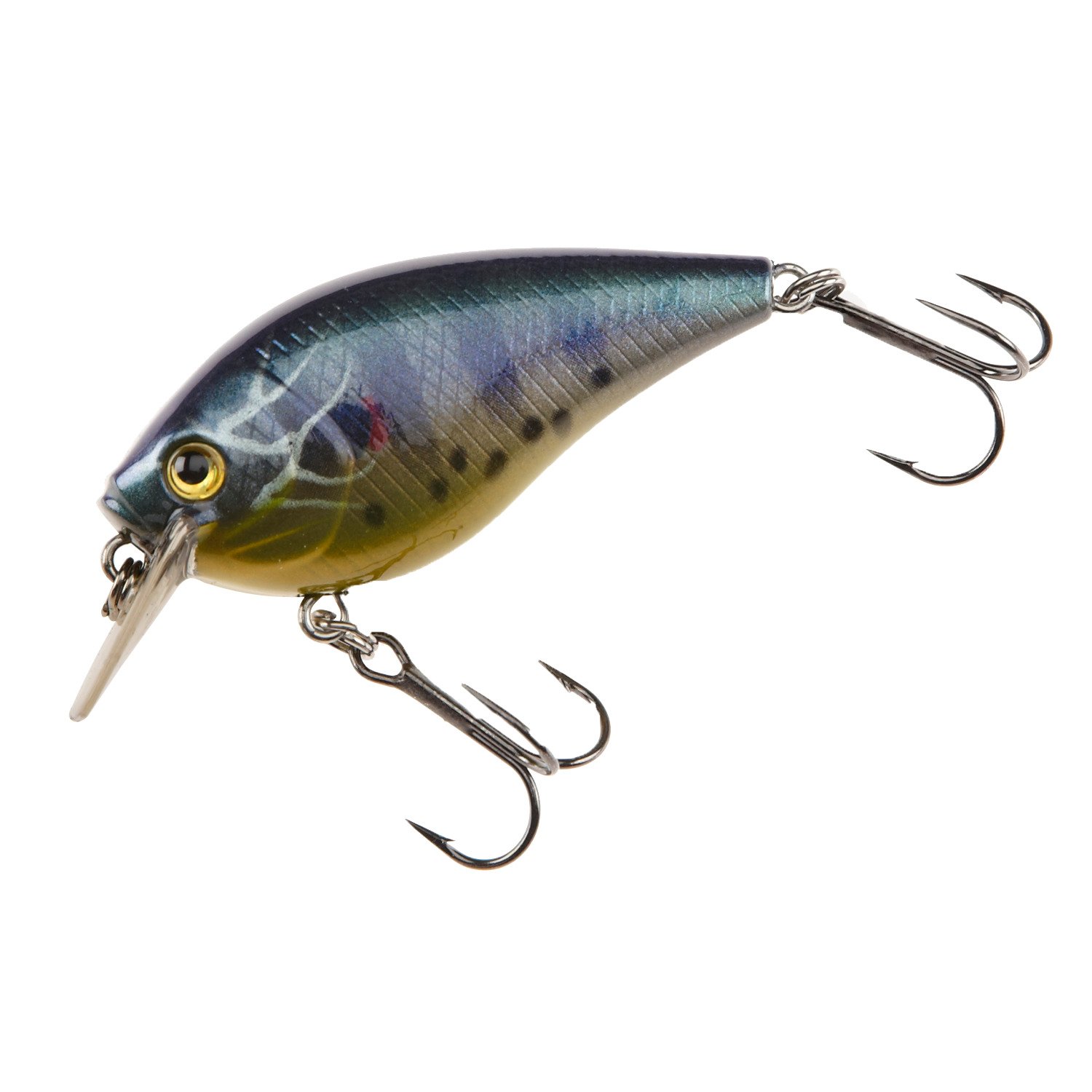 Redear Sunfish