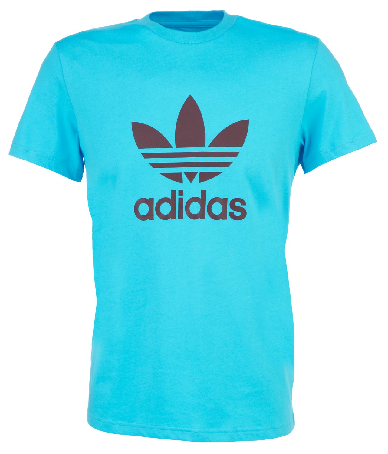 Teal/Aqua