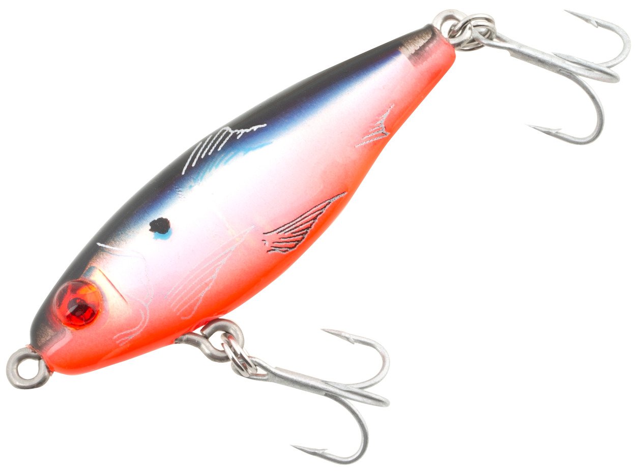Black Back, Orange Belly, Silver Luminescence
