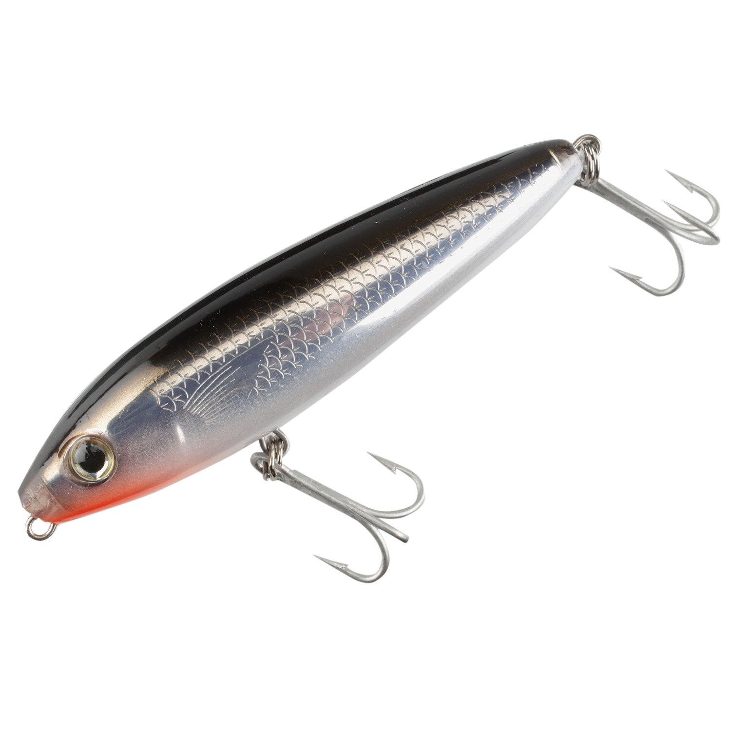 Silver Mullet