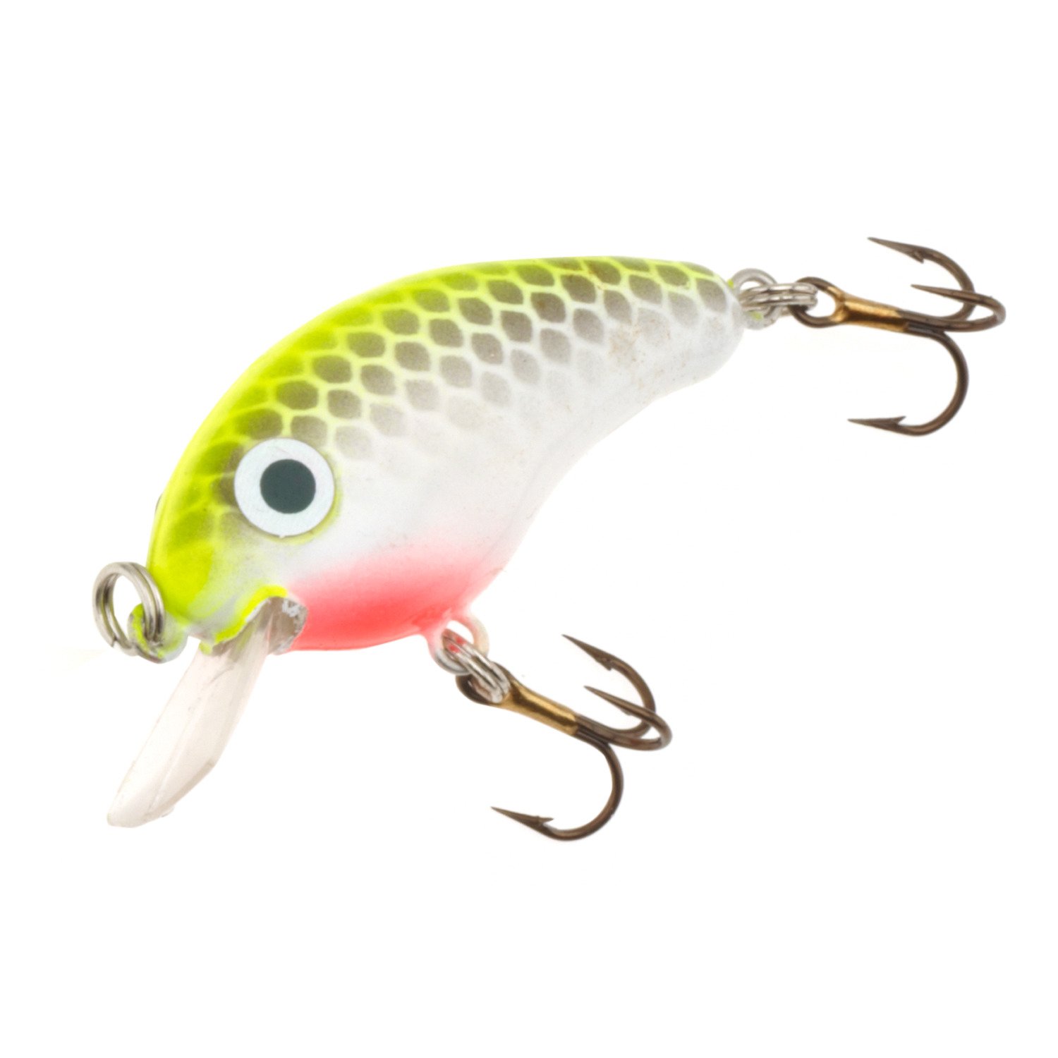 Chartreuse/White