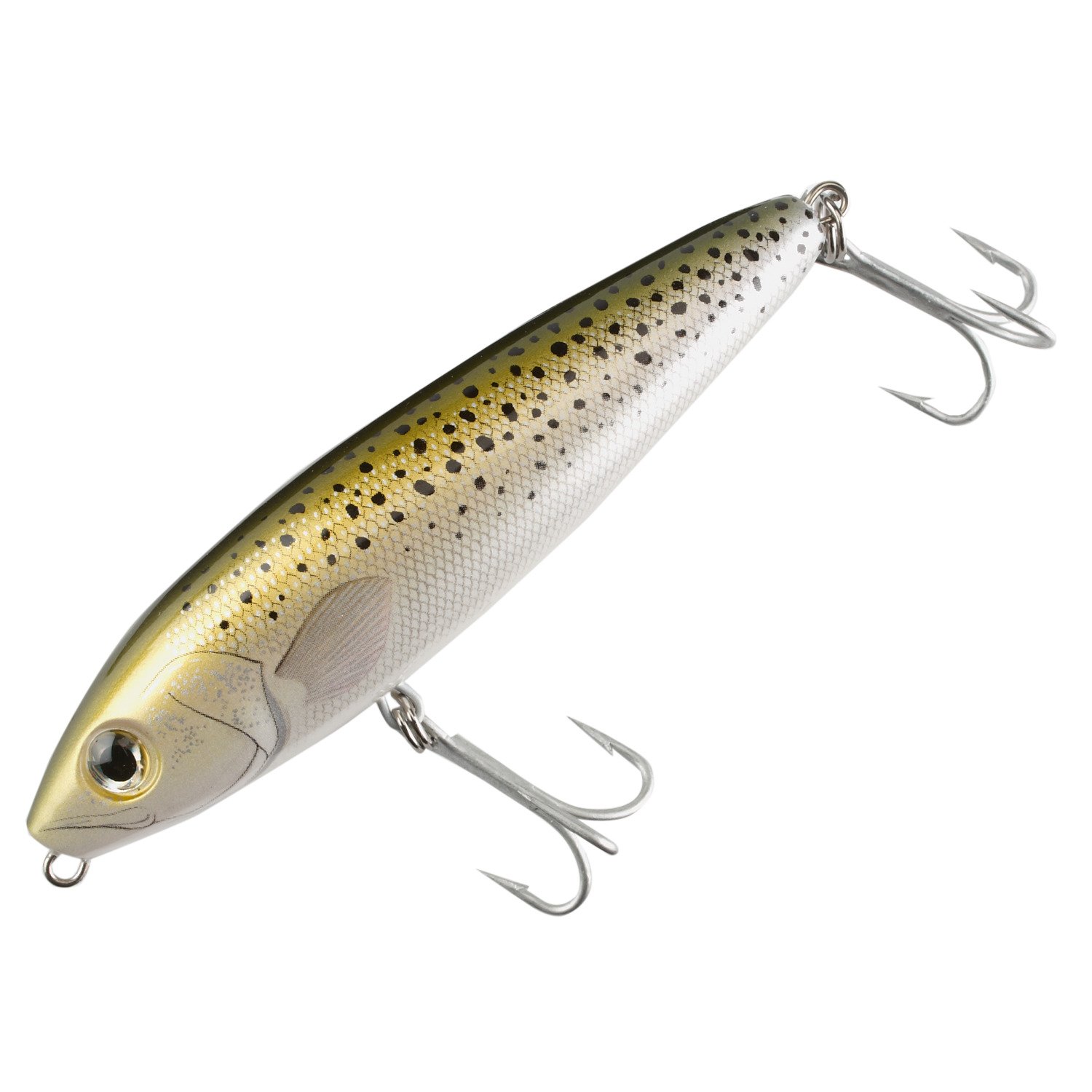Speckled Trout