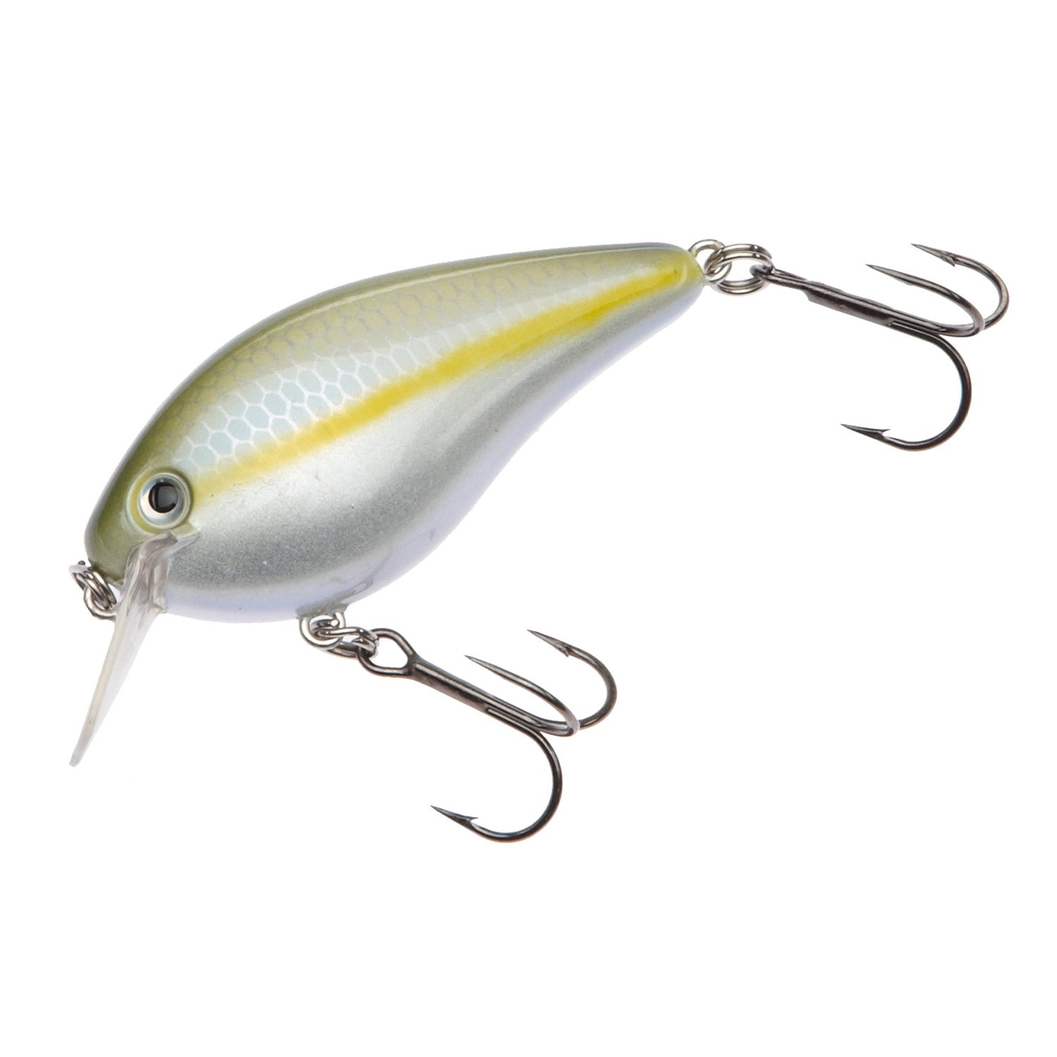 Sexy Blue Back Herring