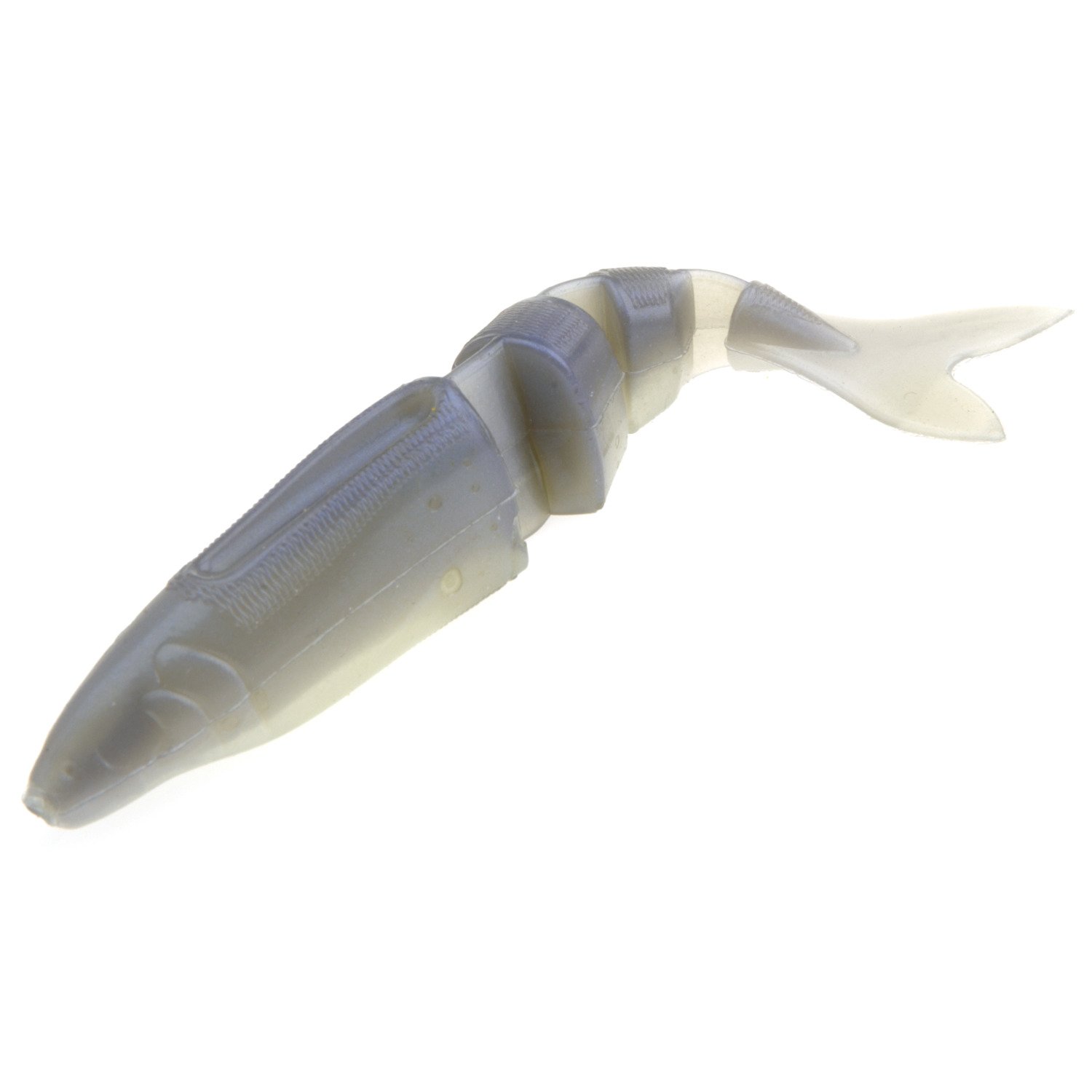 Albino Shad