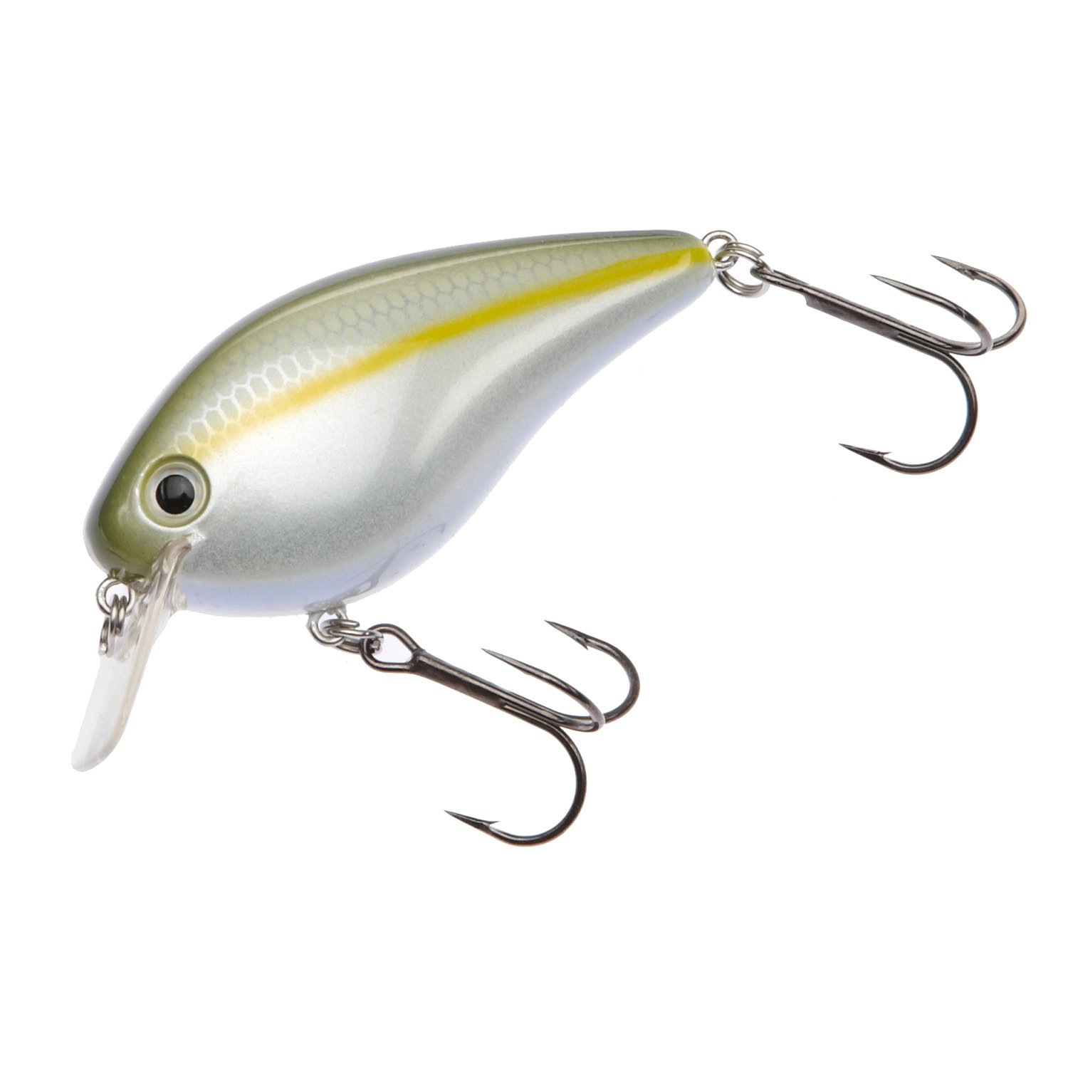 Sexy Blue Back Herring