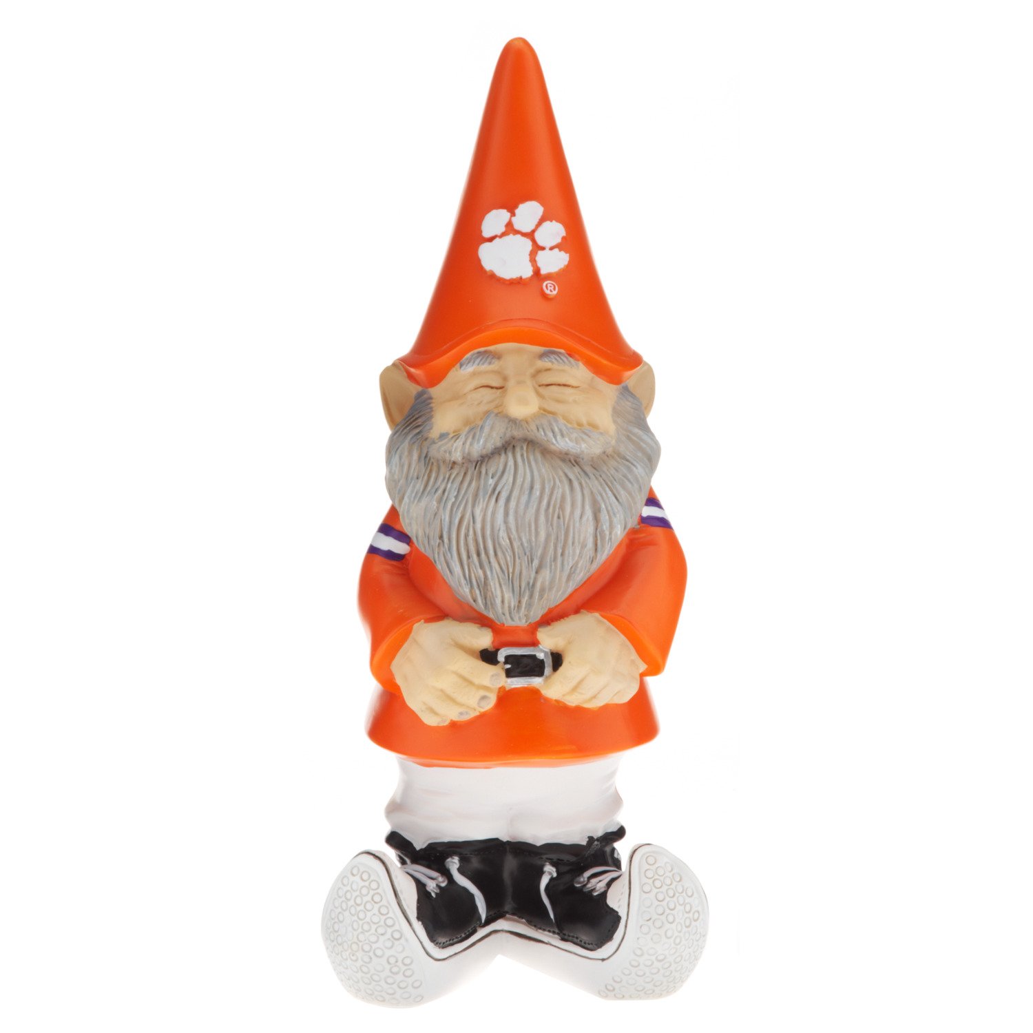 Clemson University