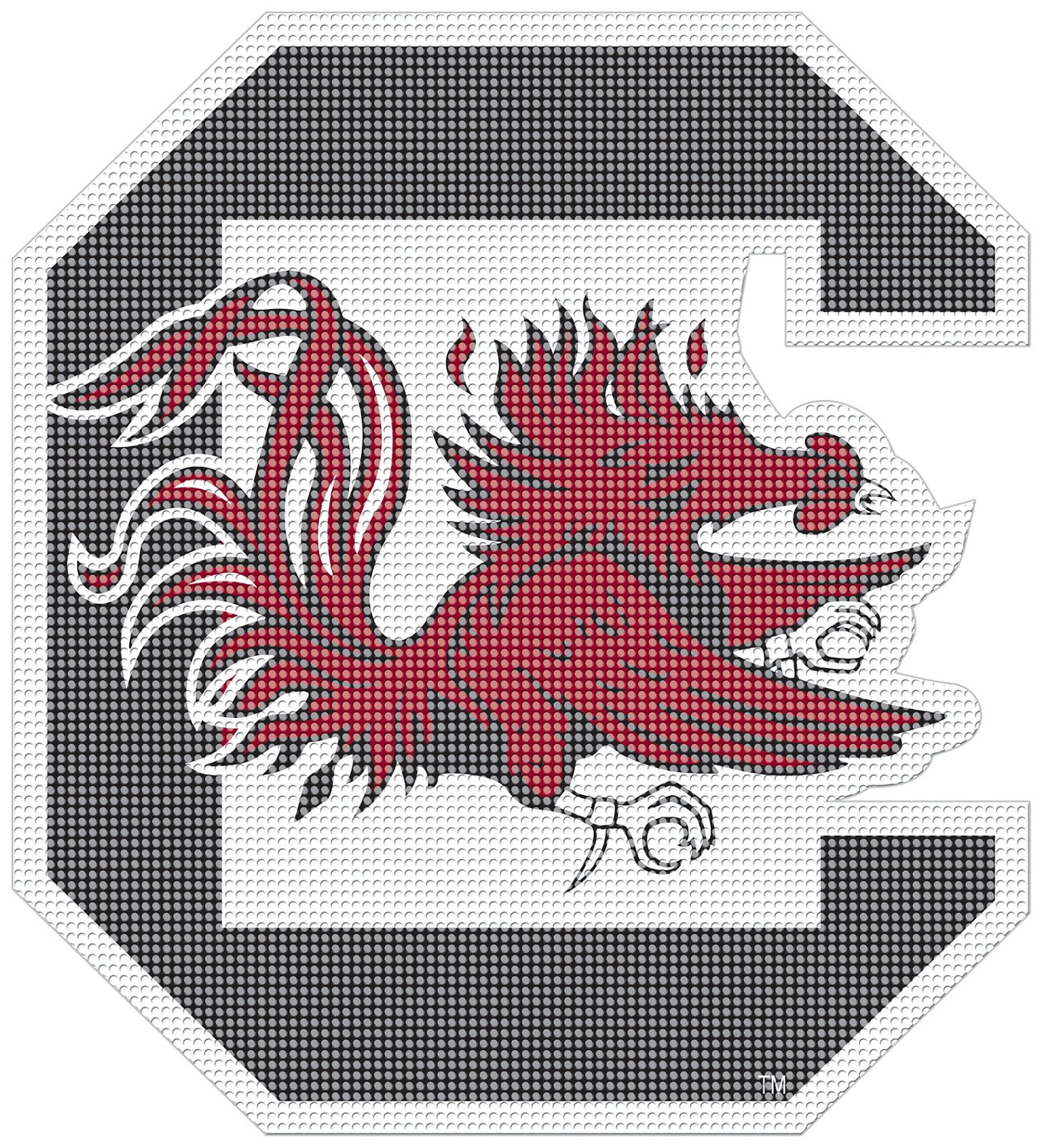 University of South Carolina Gamecocks