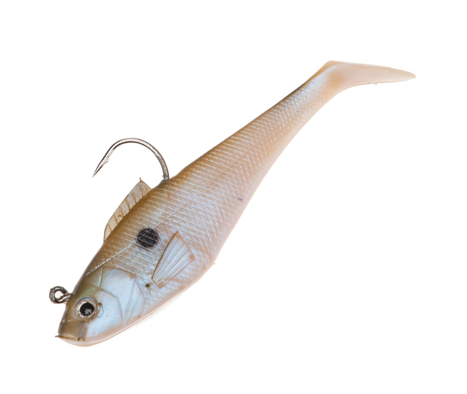 Shad