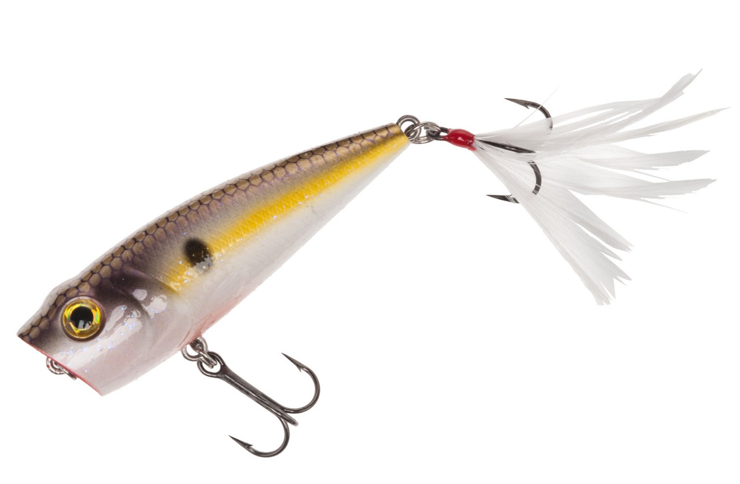 Hickory Shad