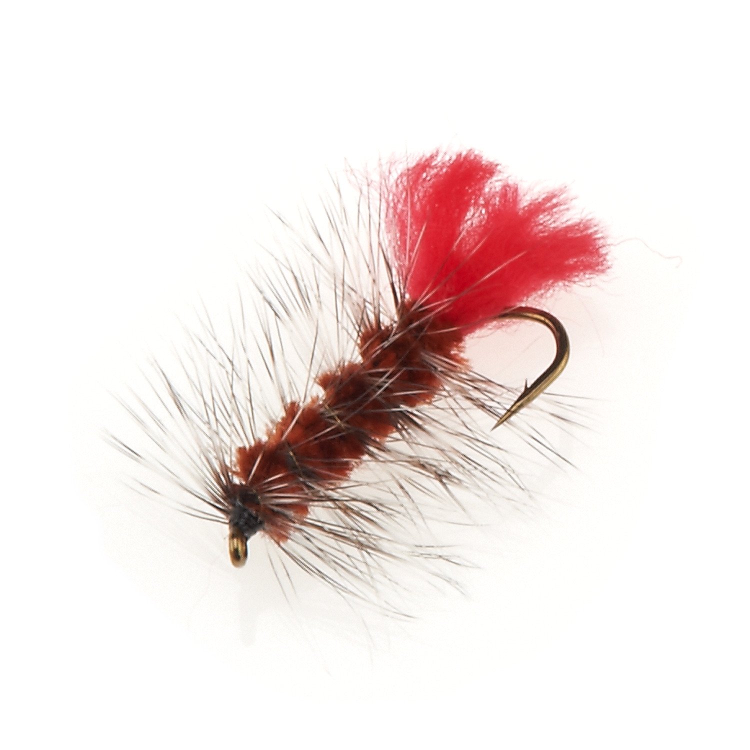Superfly™ Wooly Worm 0.75" Flies 2-Pack