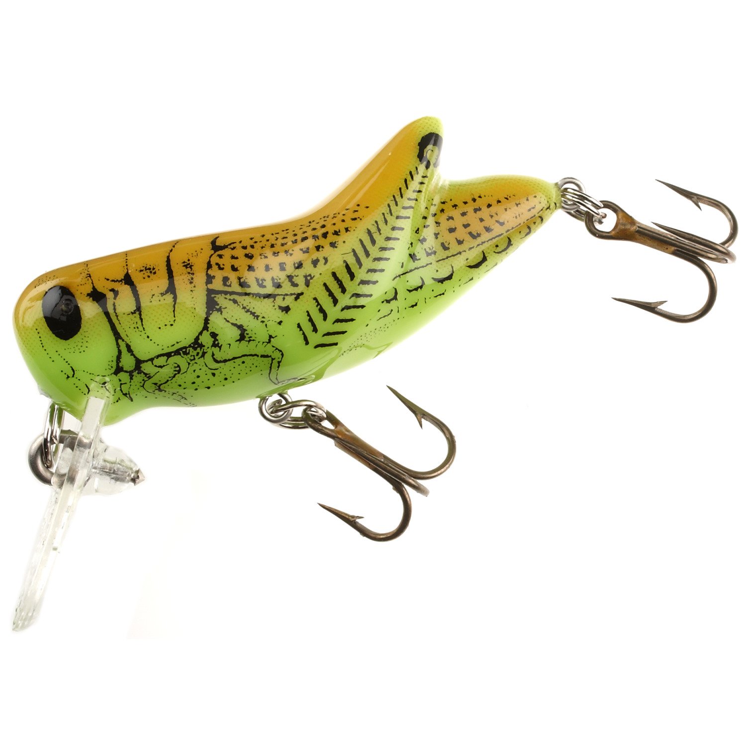 Green Grasshopper
