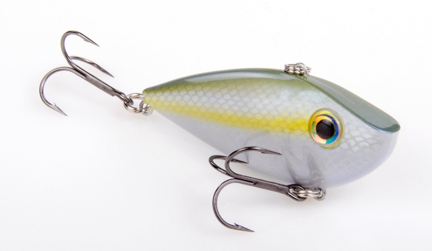 Sexy Blue Back Herring