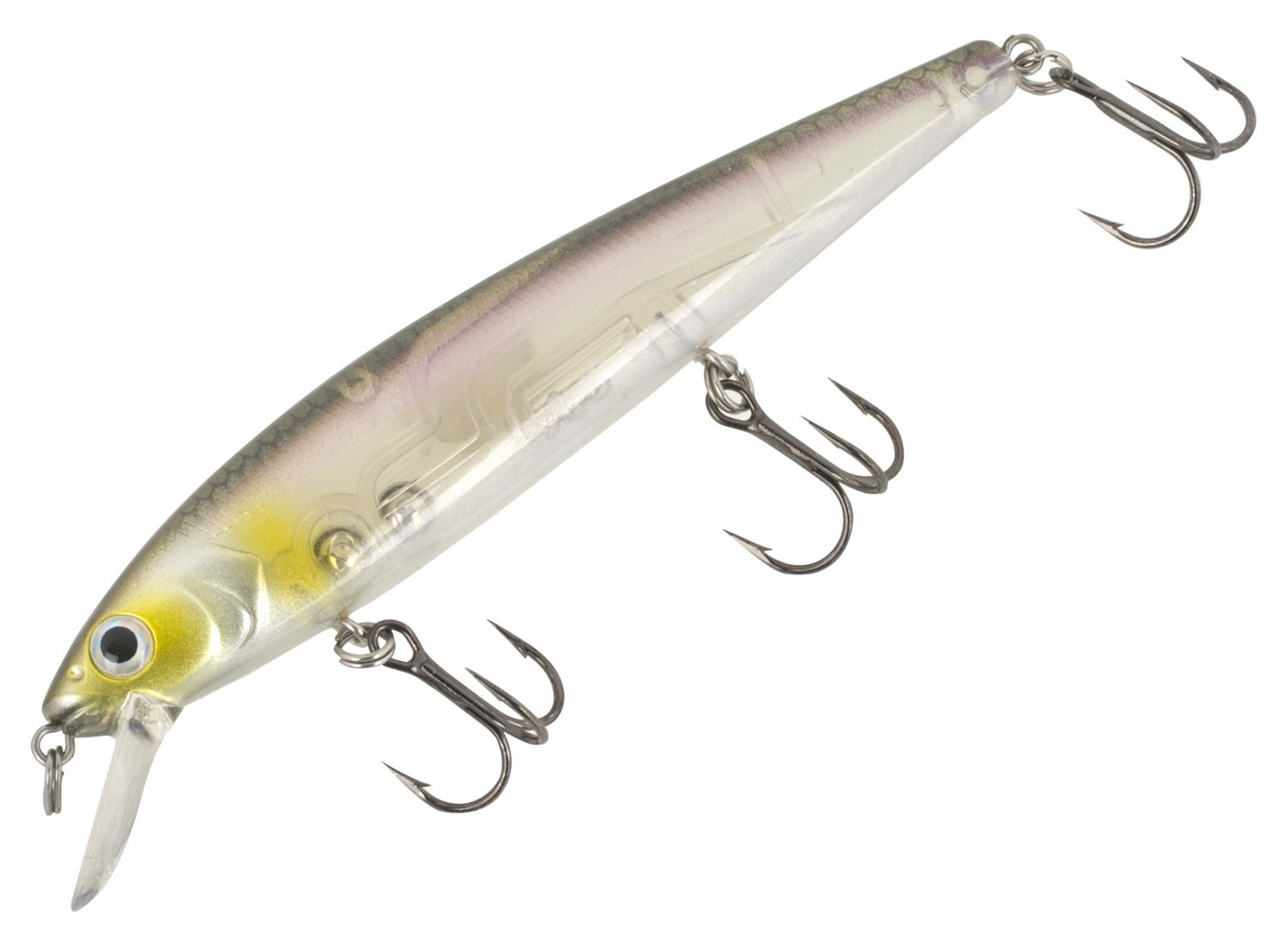 Clearwater Minnow