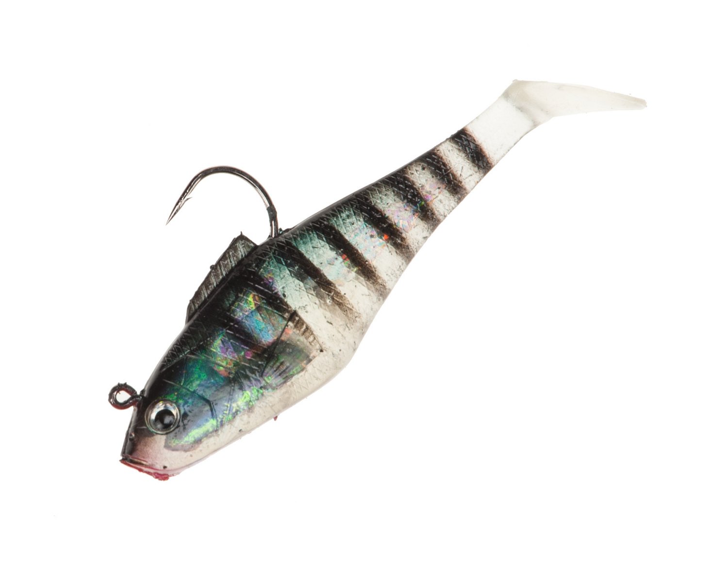 Bluegill