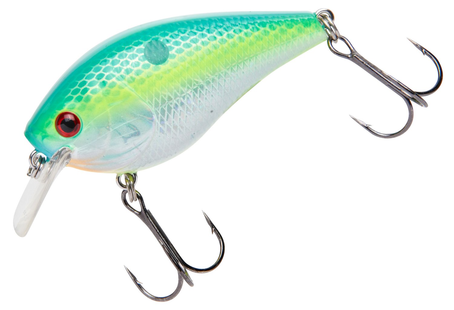 Citrus Shad
