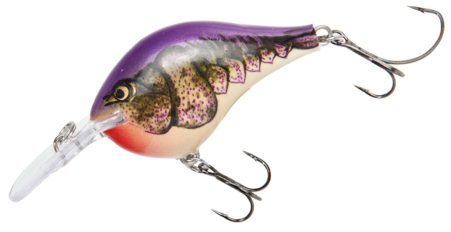 Rapala® DT® Series DT06 Crankbait