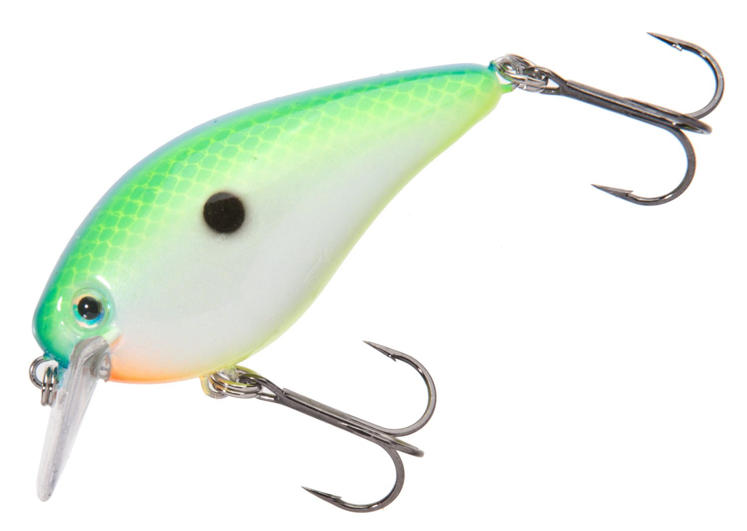 Citrus Shad