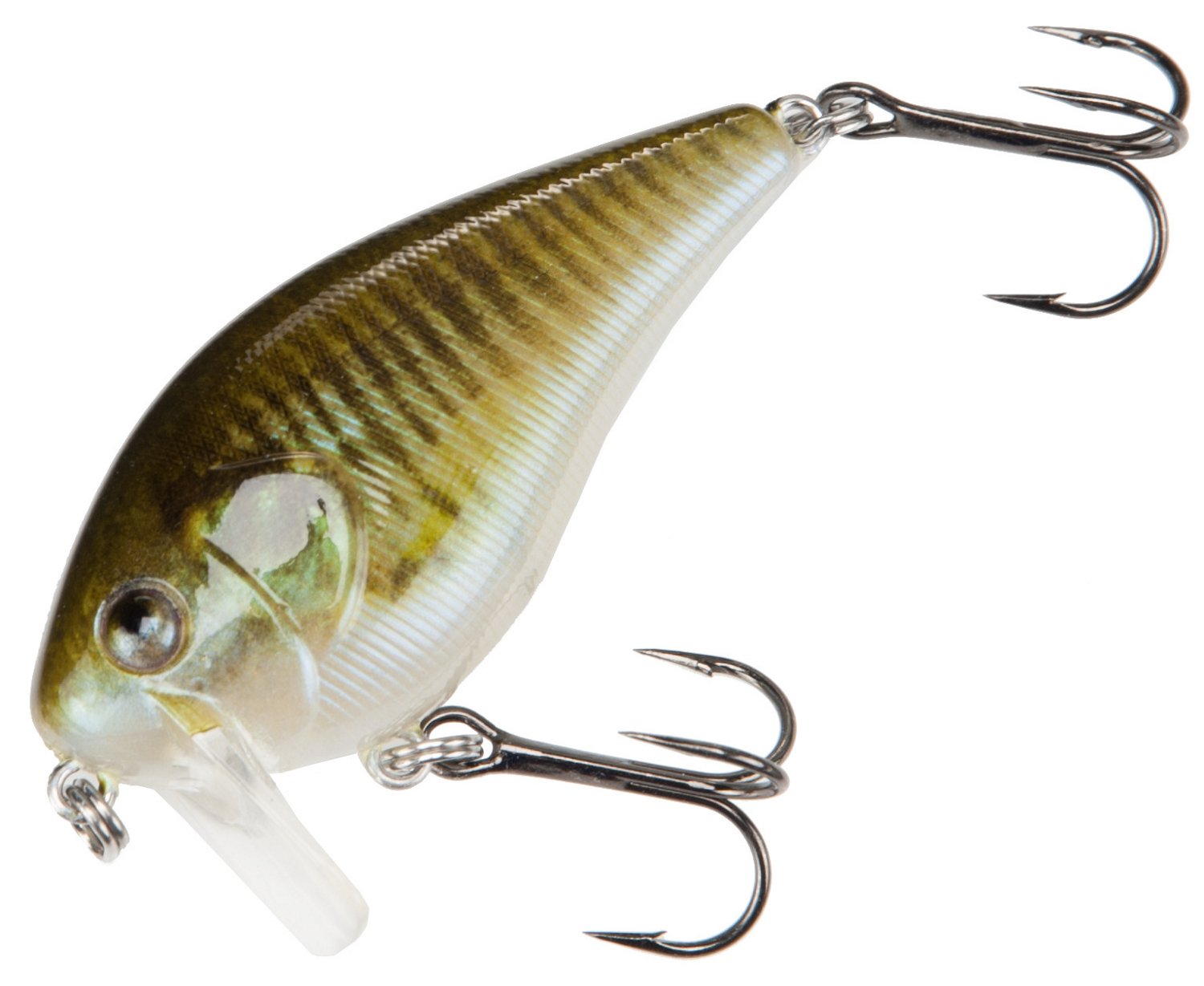 H2O XPRESS 2-1/2" Saltwater Wake Bait