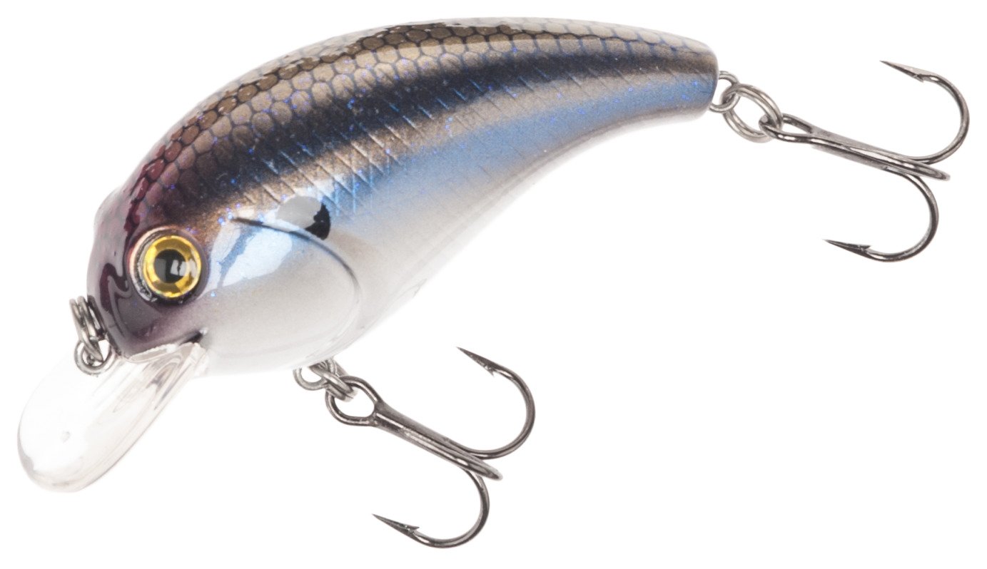 Smelt