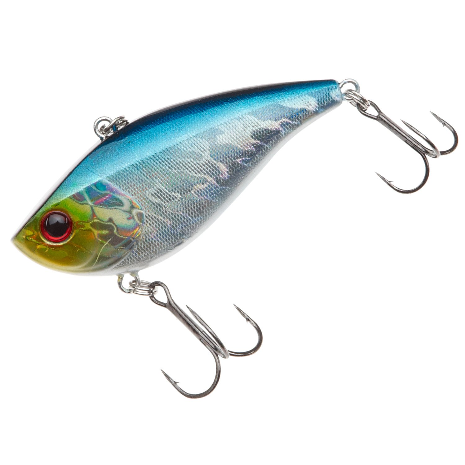 Blue Shiner