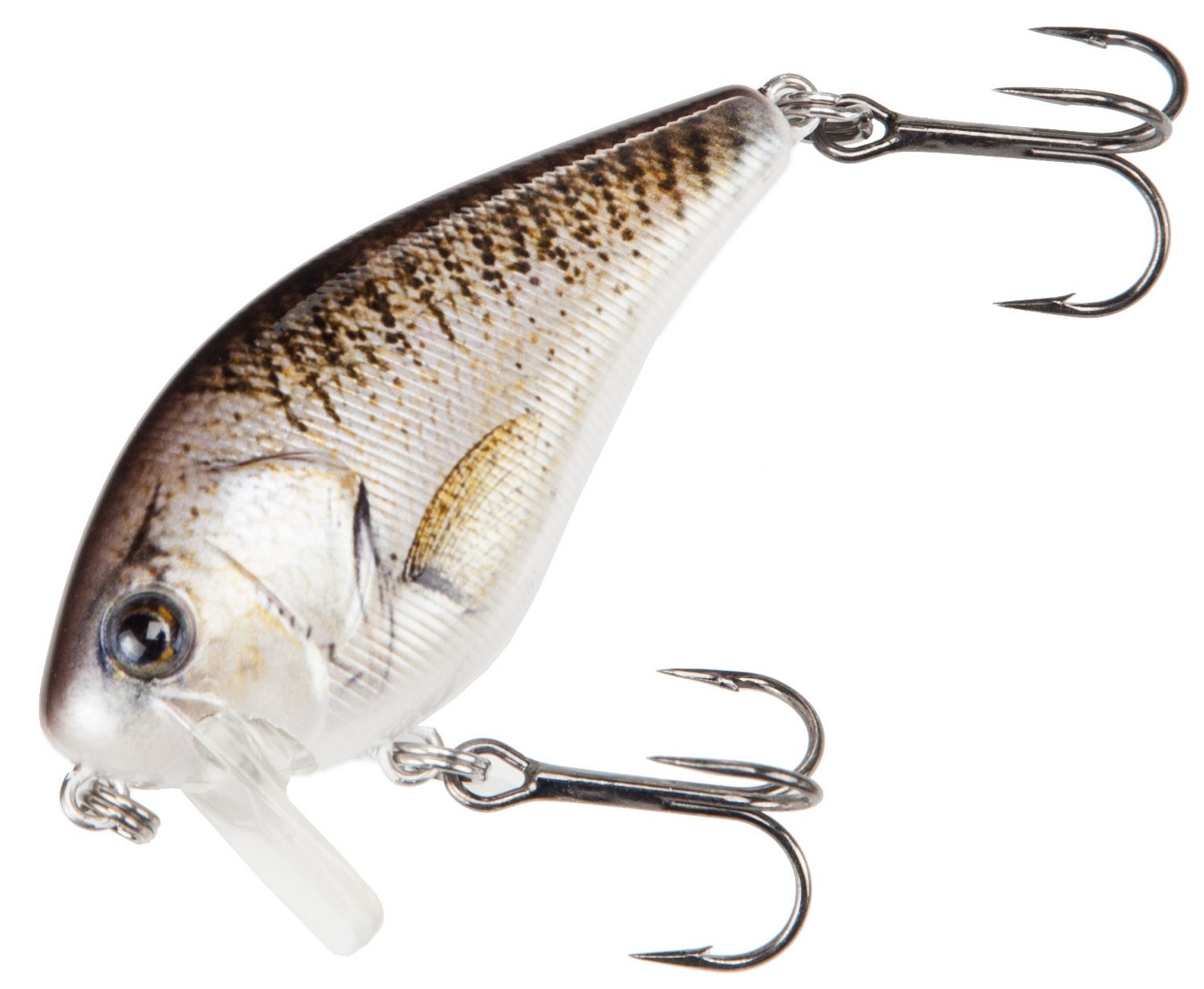 H2O XPRESS 2-1/2" Saltwater Wake Bait