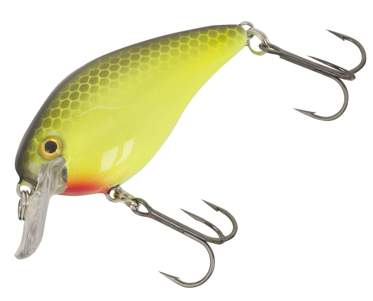 Cataquatchie
