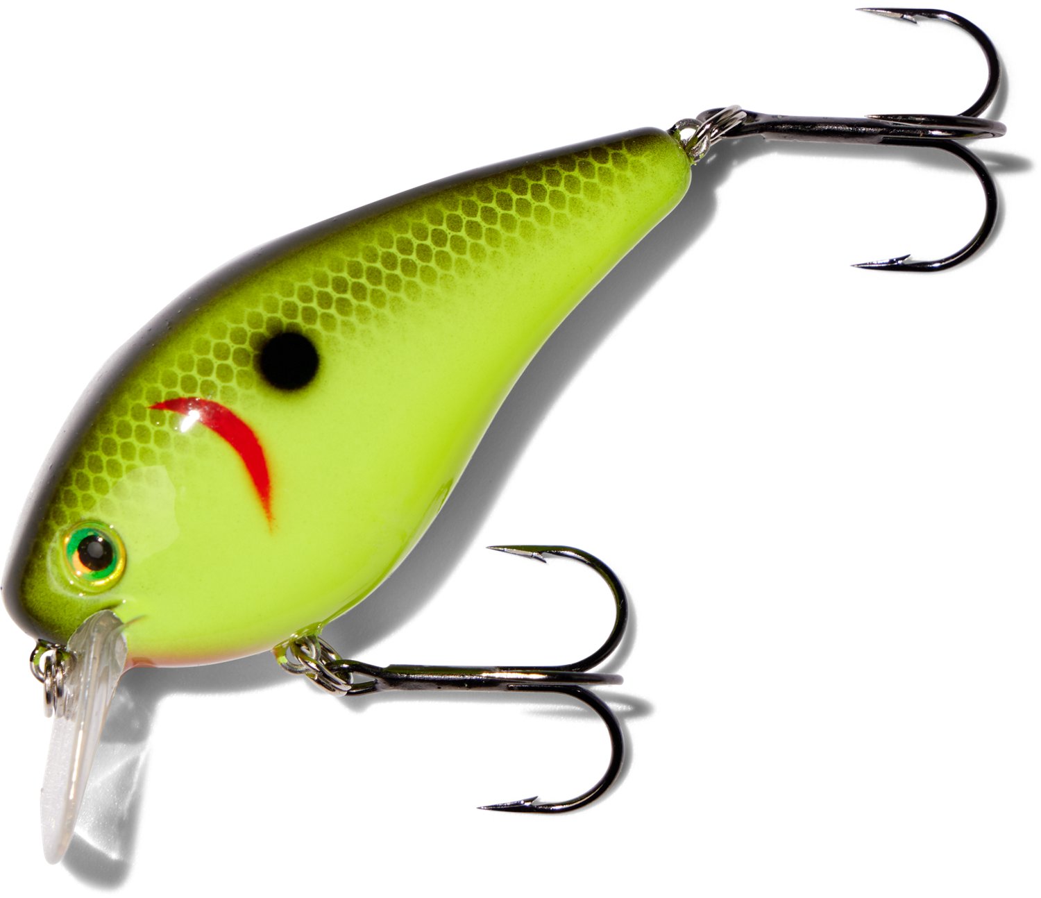 Black Back Chartreuse