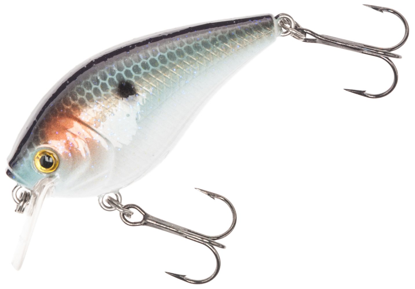 H2O Xpress™ CRS Crankbait