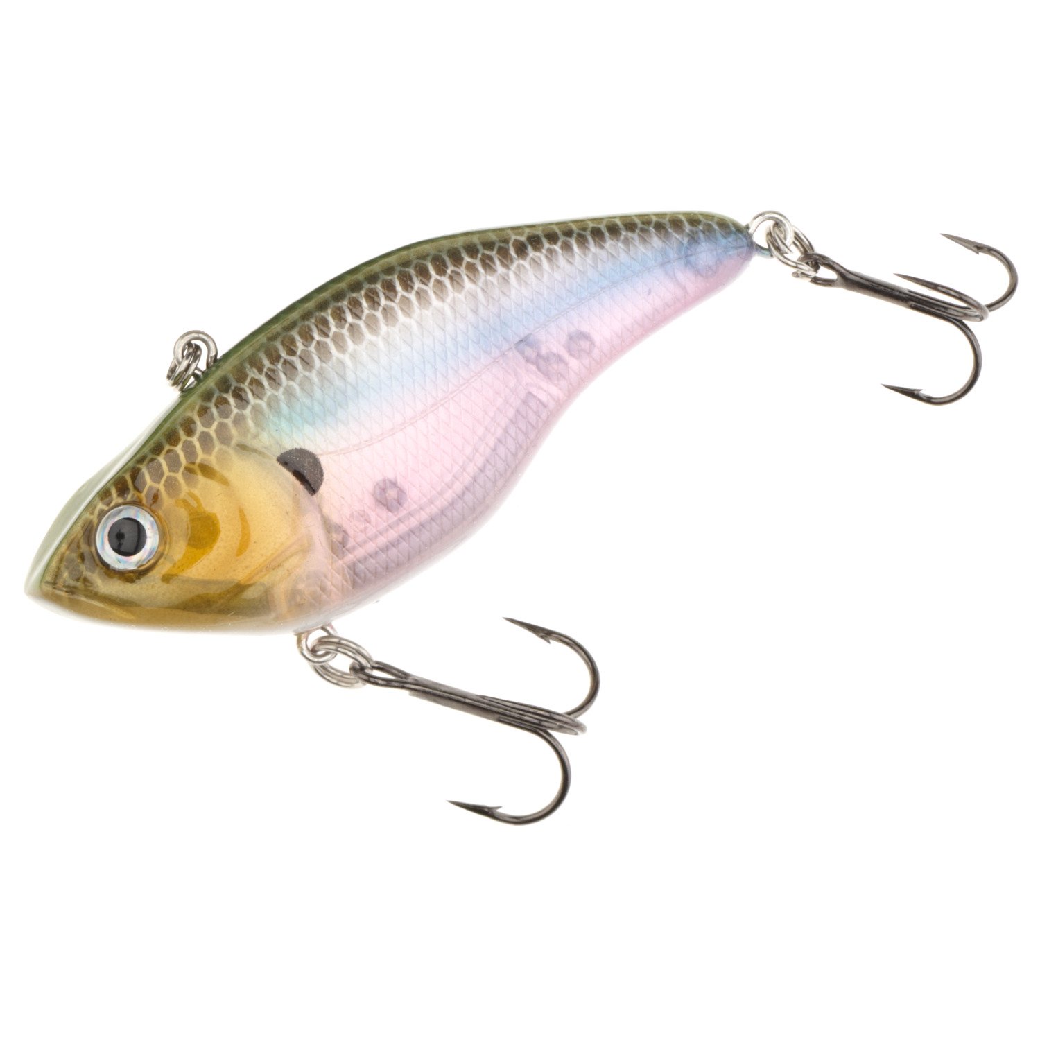 Ghost Shad