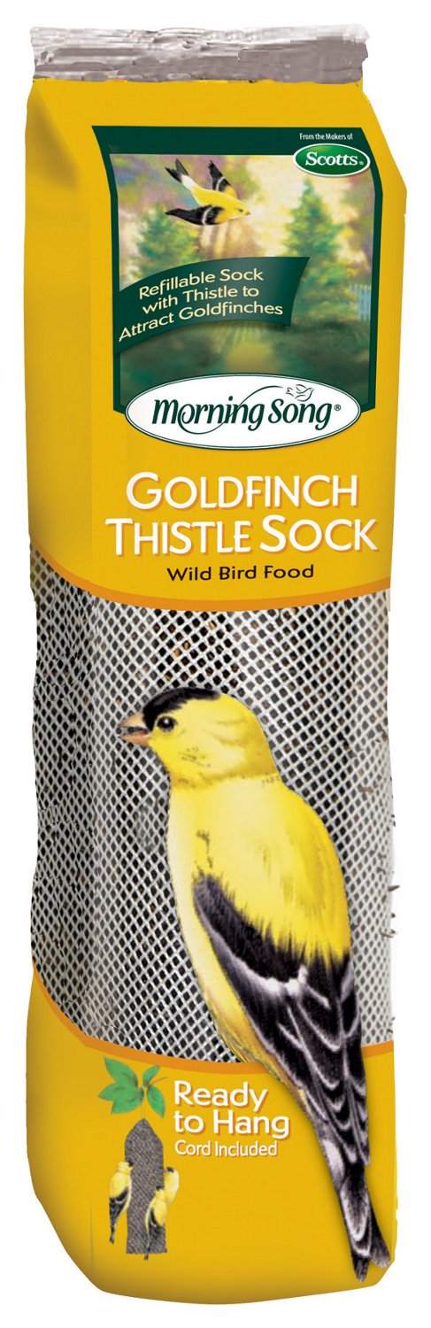 Morning Song® 13 oz. Goldfinch Thistle Sock