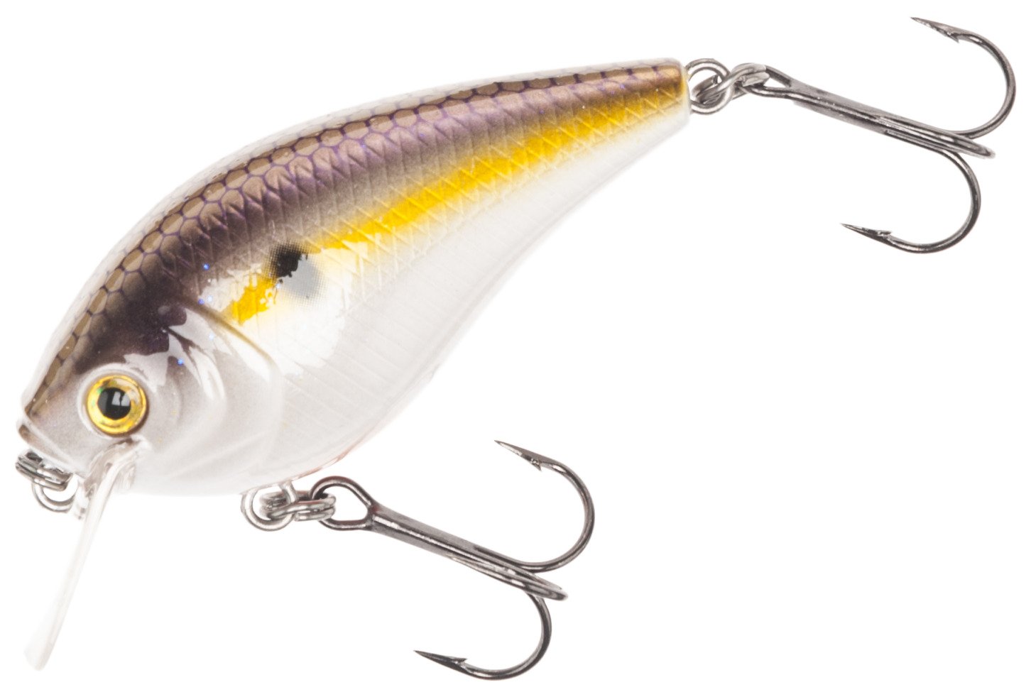 Hickory Shad