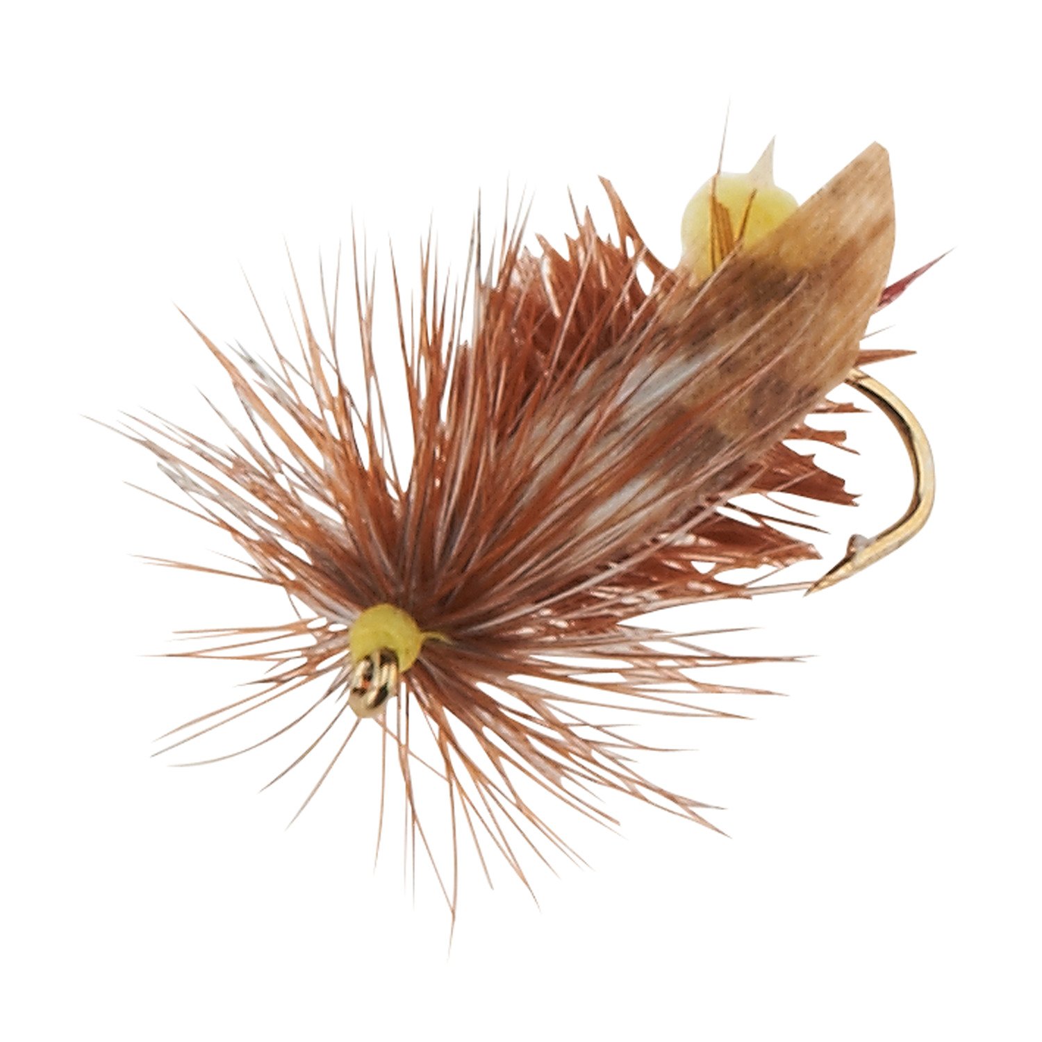 Superfly™ Joe's Hopper 0.5" Flies 2-Pack