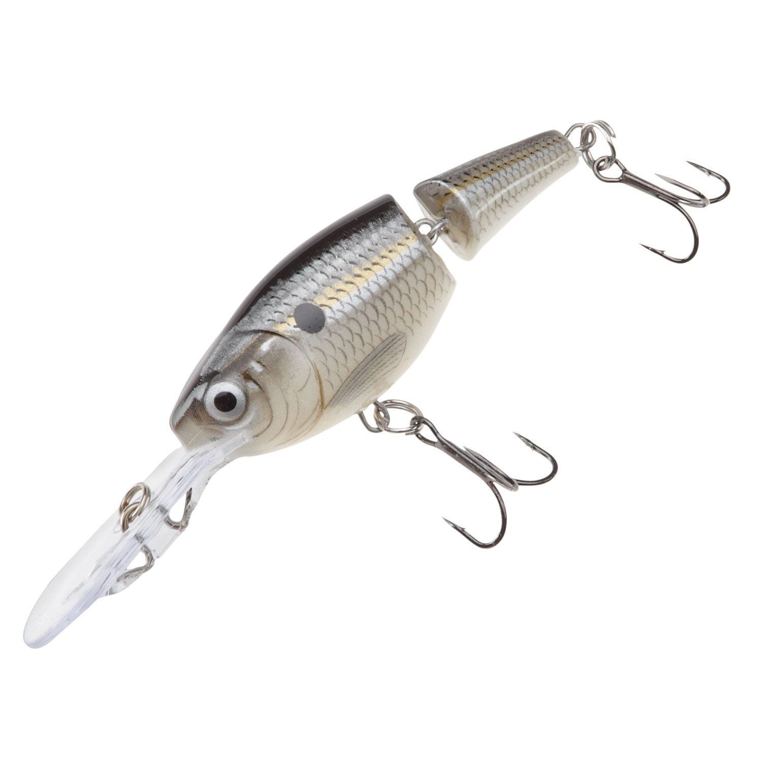 Silver Shad
