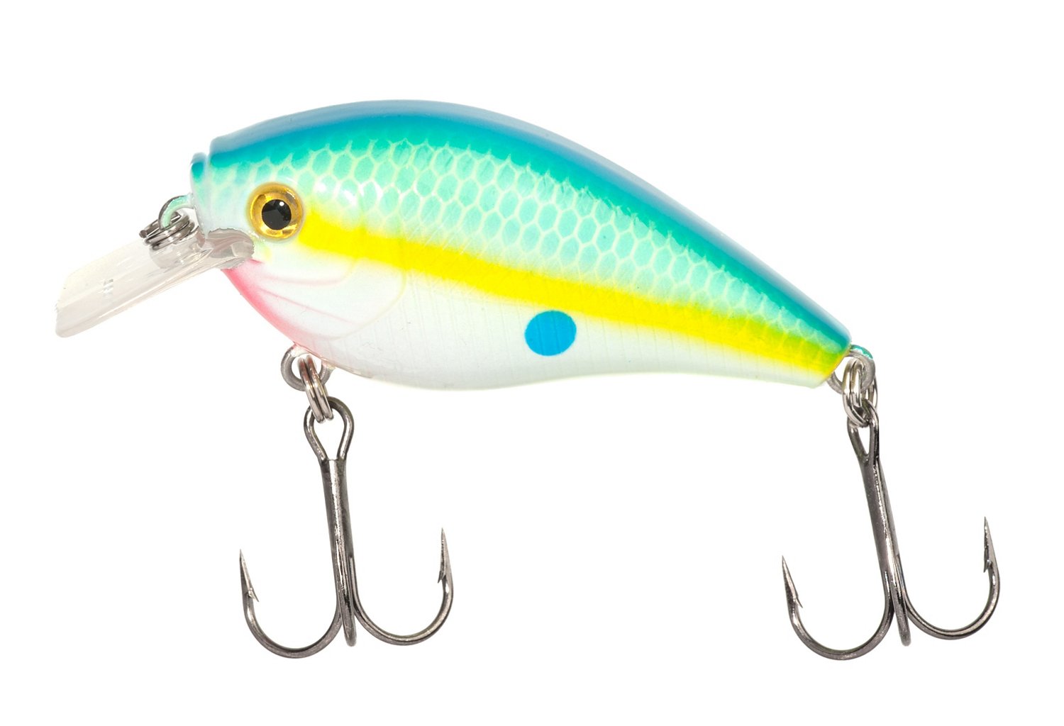 Sexy Citrus Shad
