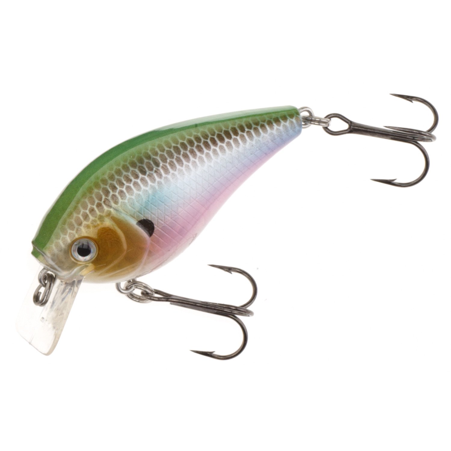 H2O Xpress™ CRS Crankbait