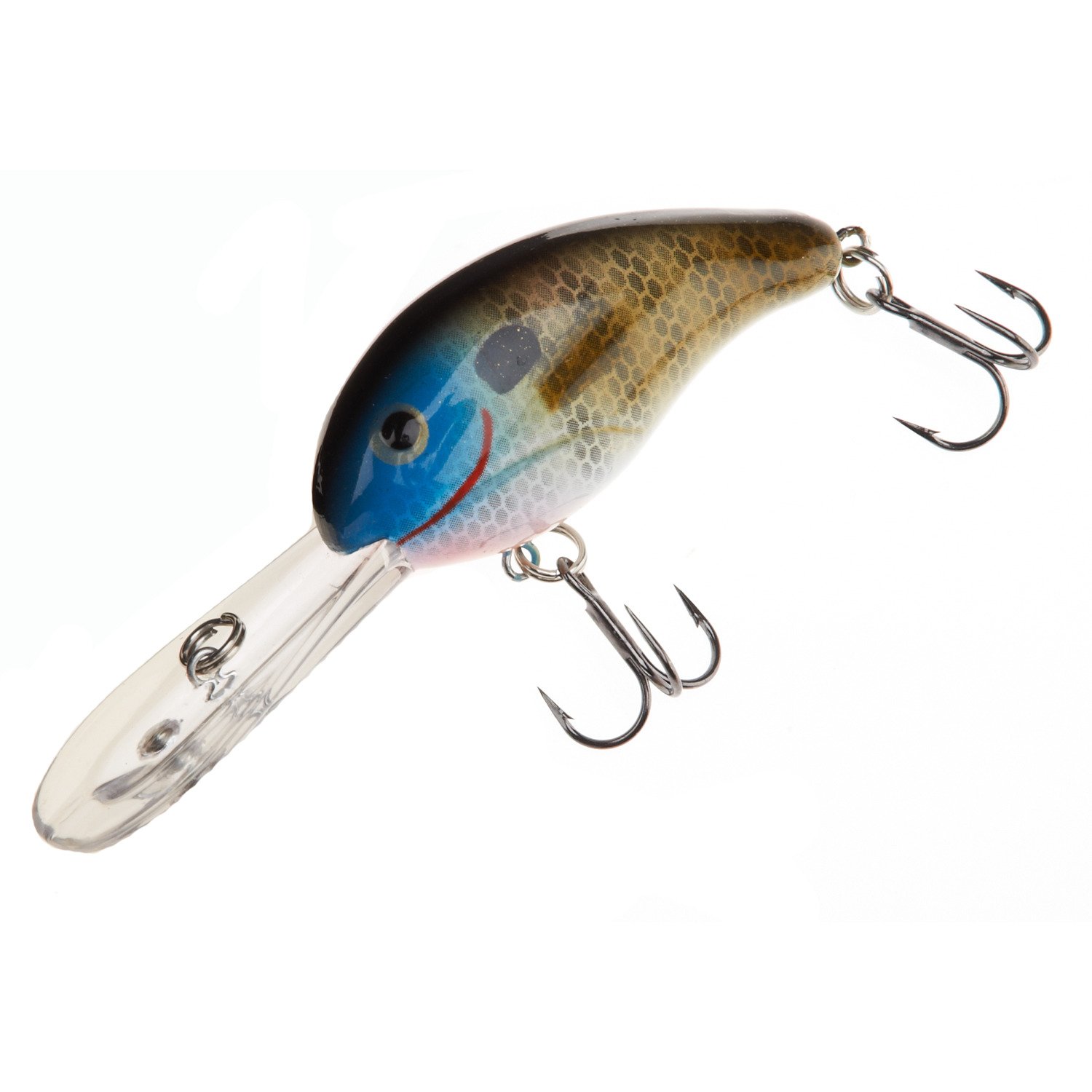 River Bream