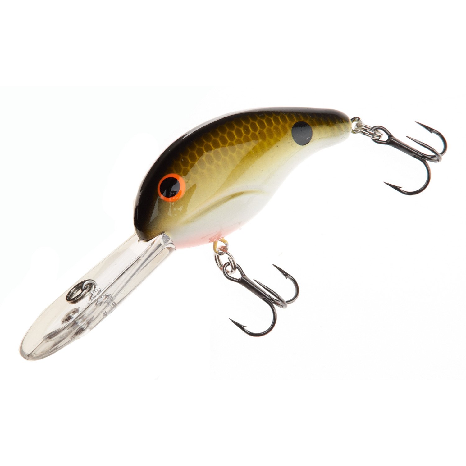 Tennessee Shad