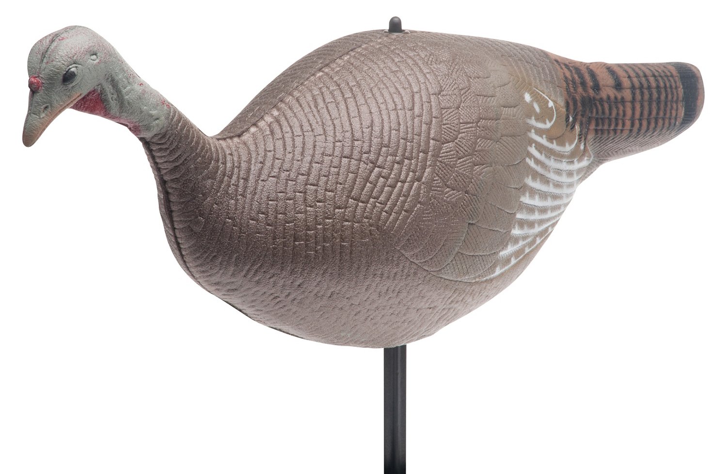 Game Winner® 3-D Foam Hen Turkey Decoy