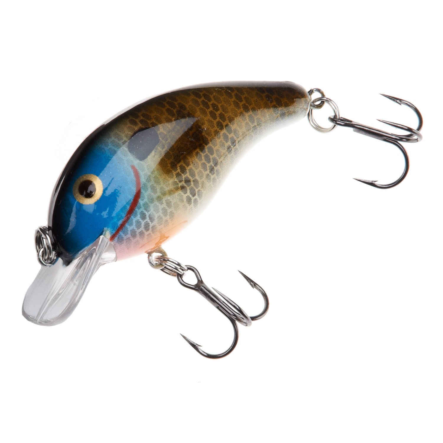 River Bream
