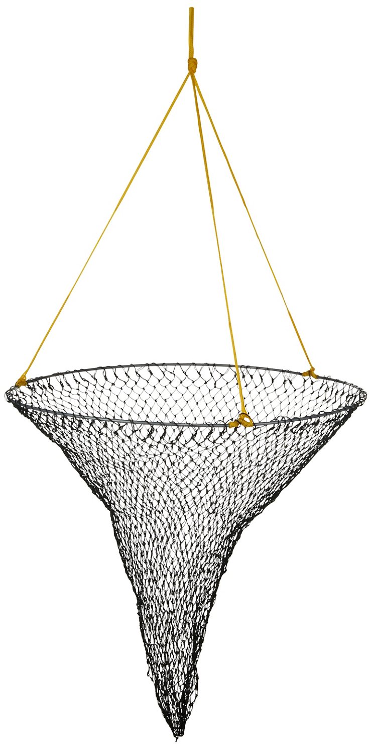 Frabill 36
