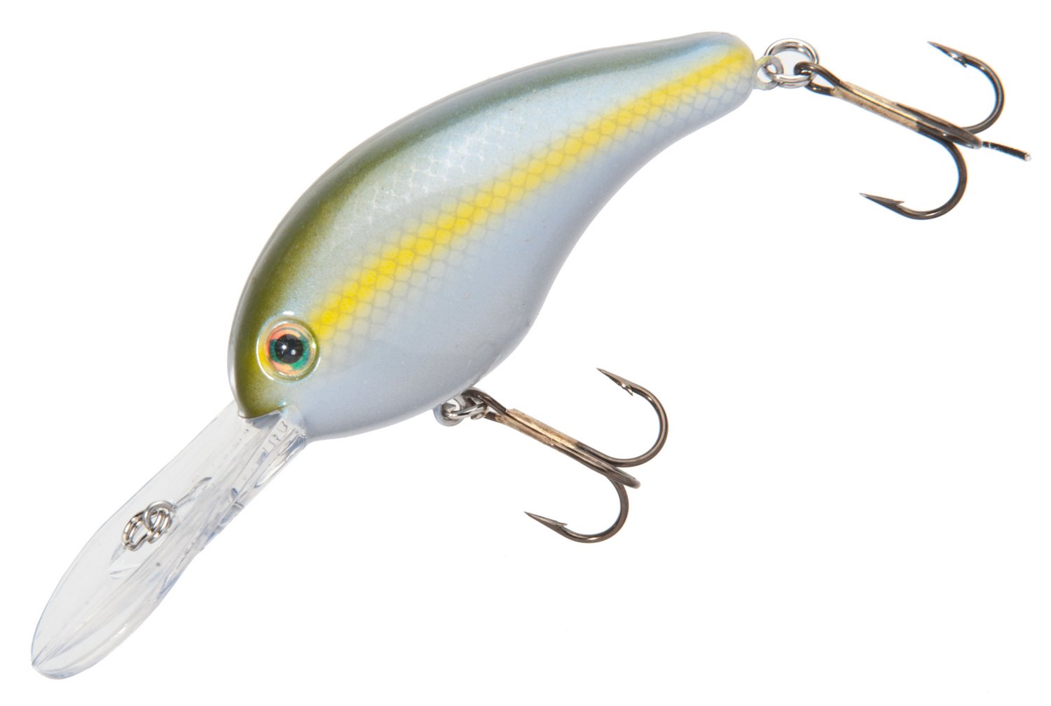 Sexy Blue Back Herring