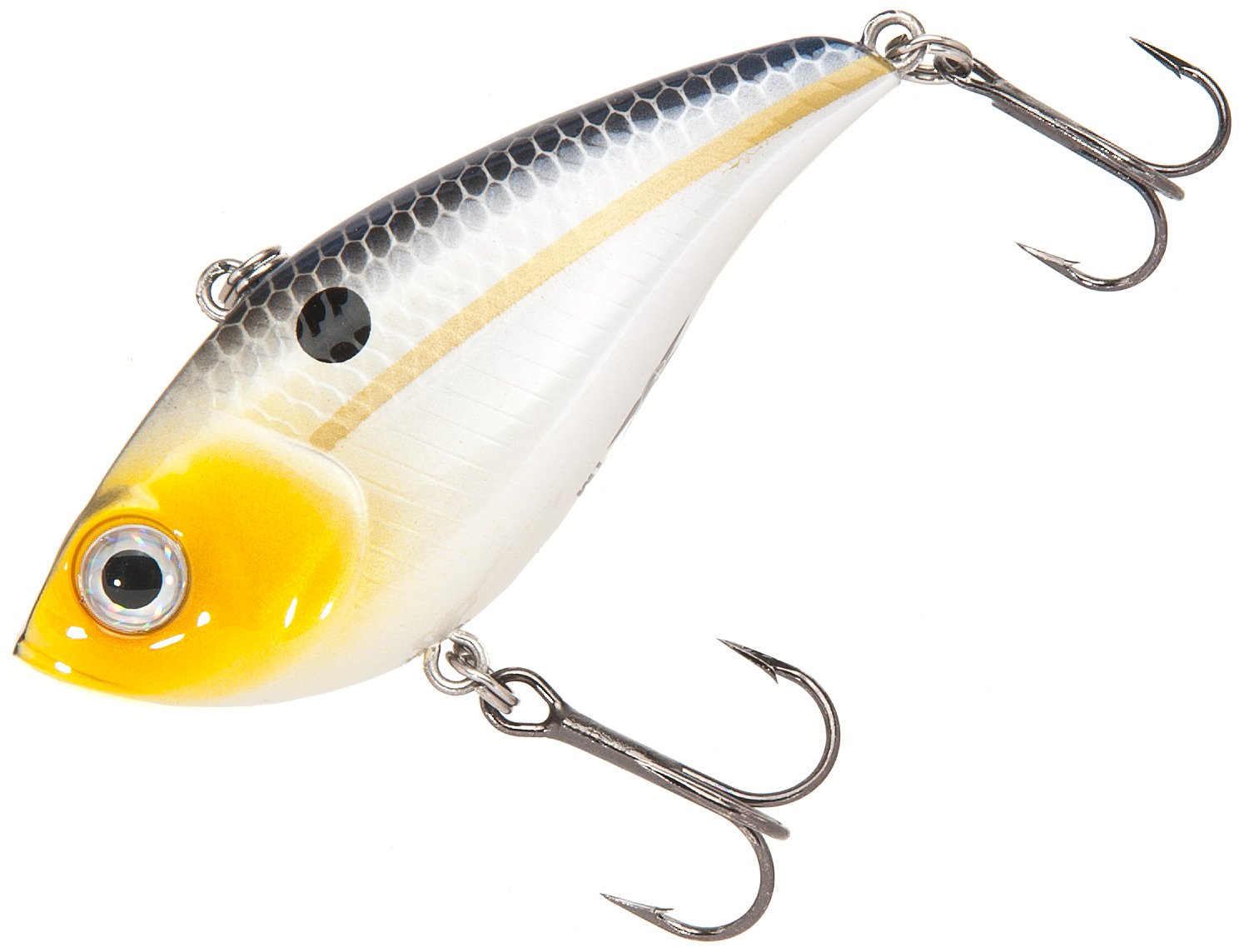 H2O XPRESS Rattlin' T 5/8 oz. Lipless Crankbait
