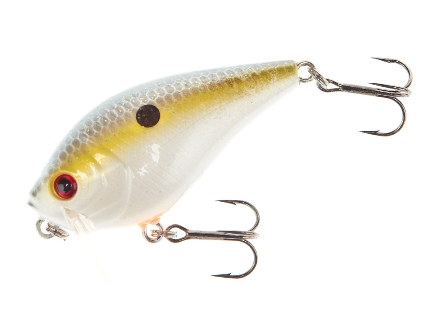 Sexy Shad