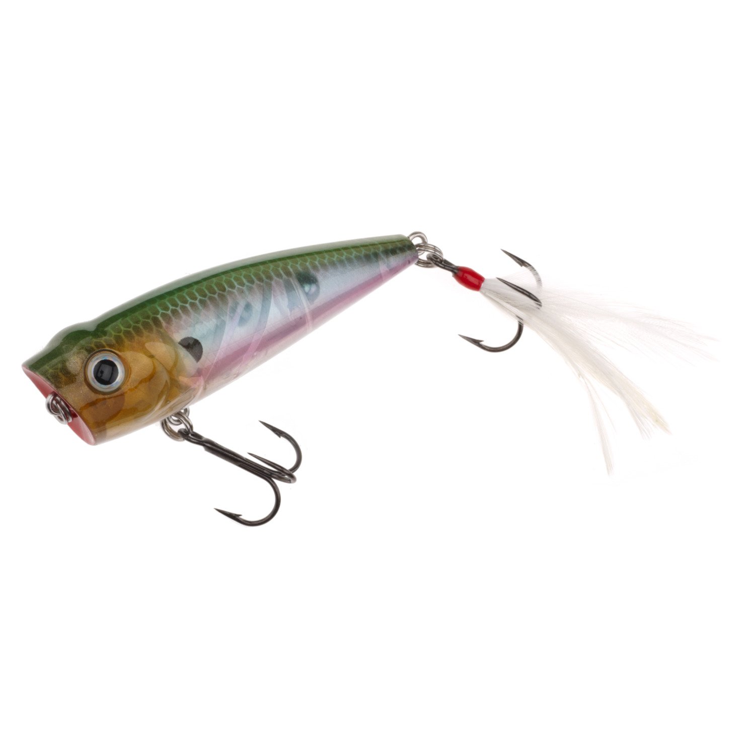 H2O XPRESS™ Model TWP Topwater Bait