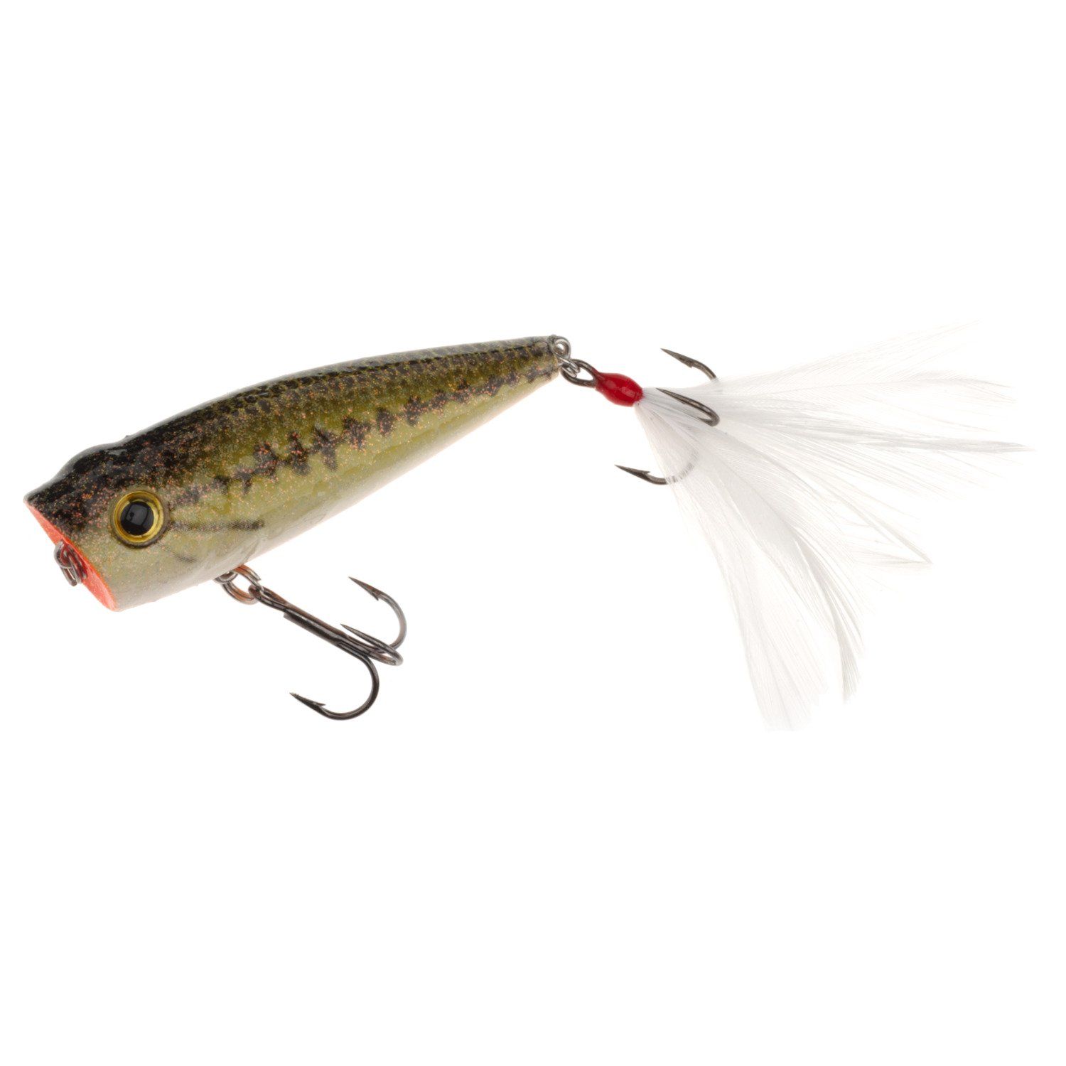 Baby Bass